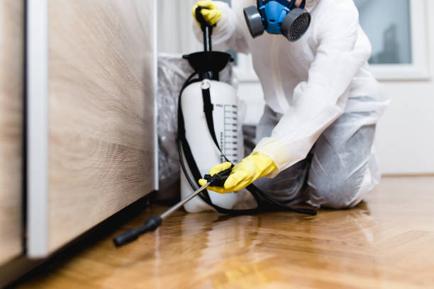 Best Pest Control Treatment  in Vienna, IL