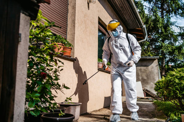 Best Exterminator Services  in Vienna, IL
