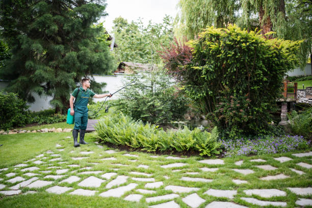 Best Commercial Pest Control Services  in Vienna, IL