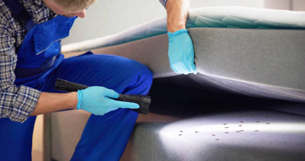 Best Emergency Pest Control  in Vienna, IL