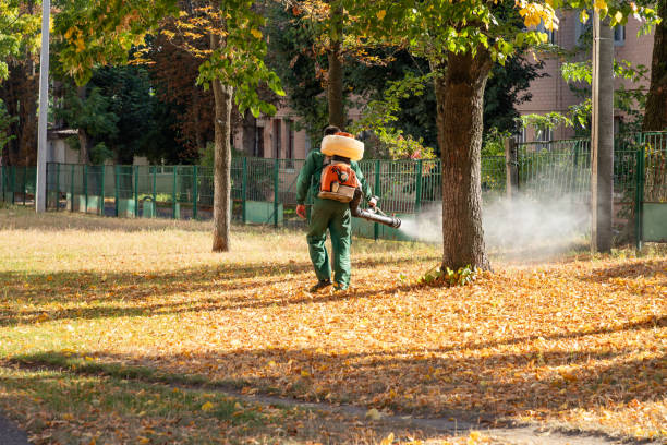 Best Cockroach Control Services  in Vienna, IL