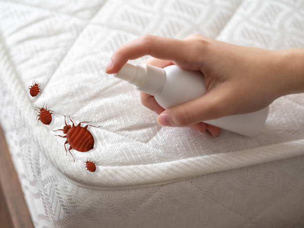 Best Pest Removal Services  in Vienna, IL