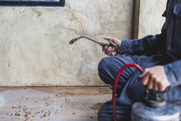 Best Pest Inspection Near Me  in Vienna, IL