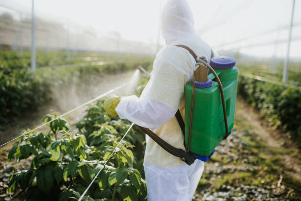 Best Pest Control Near Me  in Vienna, IL